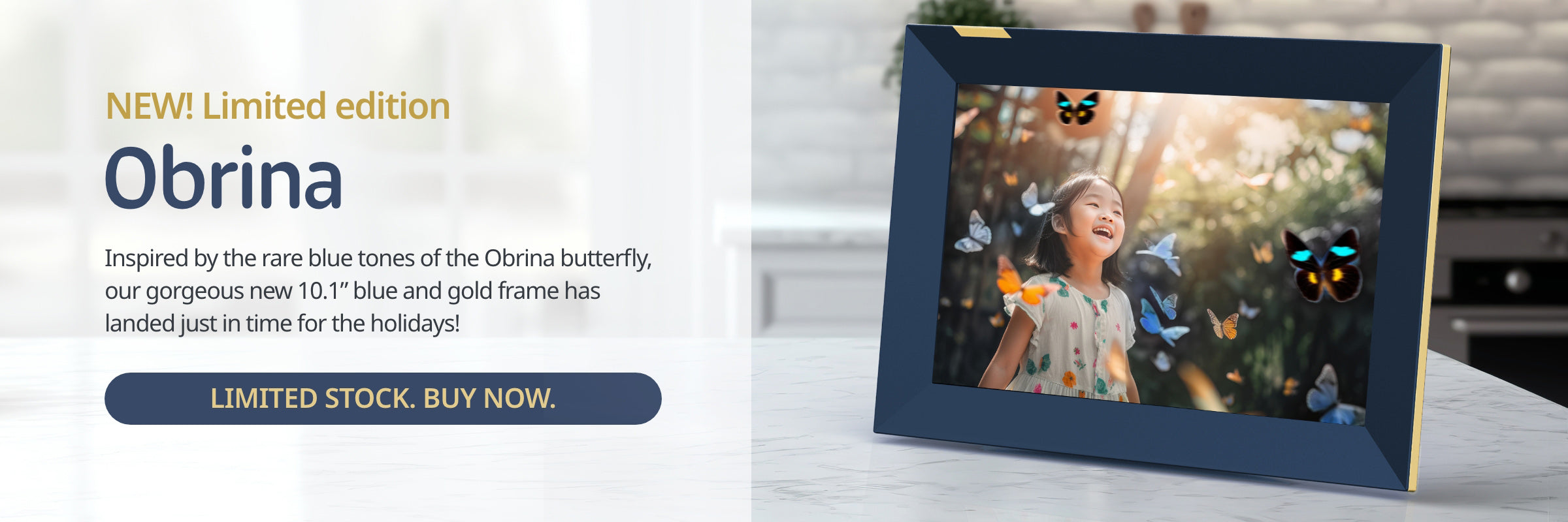 2400_X_800_-_Homepage_Banner_1_-SHOPIFY_-_Desktop-CA-_ENG_-1_27d672cb-3dec-44ce-a888-3d590496cdf2.jpg?v=1701323881