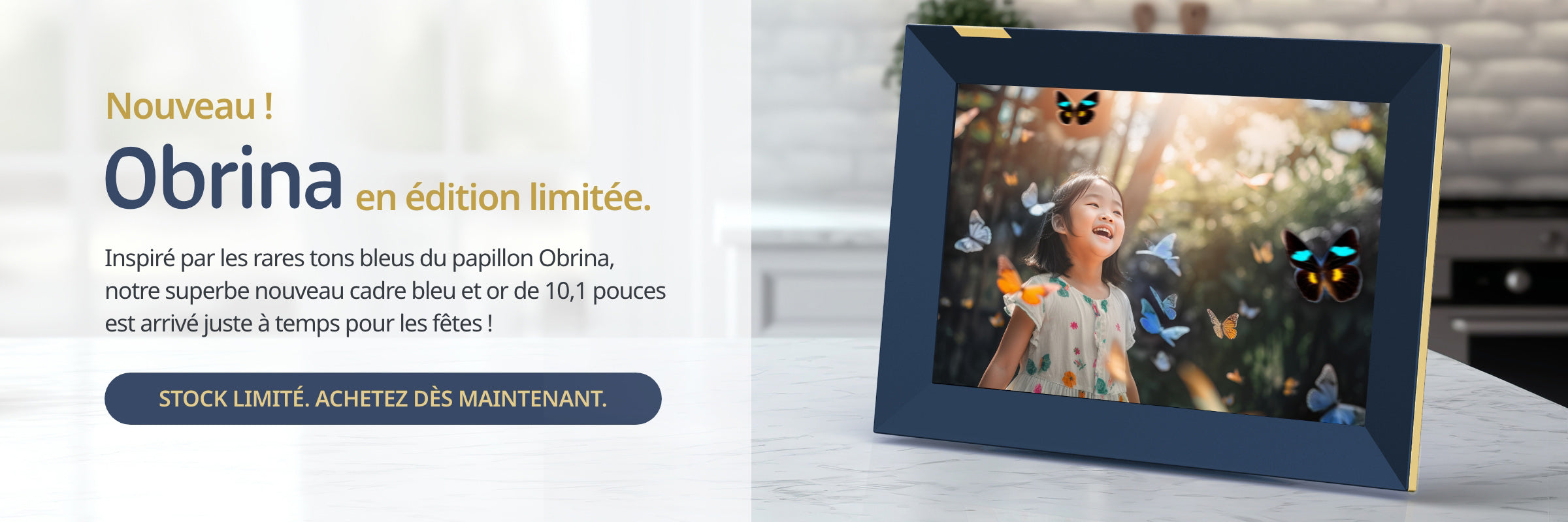 2400_X_800_-_Homepage_Banner_1_-_SHOPIFY_-_Desktop-CAFR_-1_c5f12213-b5f7-41f3-a270-2bb35d59ad81.jpg?v=1701323945